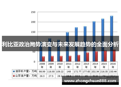 利比亚政治局势演变与未来发展趋势的全面分析